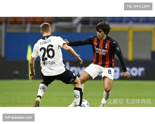 意甲青训体系分析：本土新星崛起之路